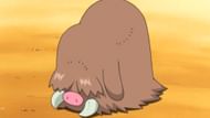 Piloswine as seen in the anime (Image via The Pokemon Company)